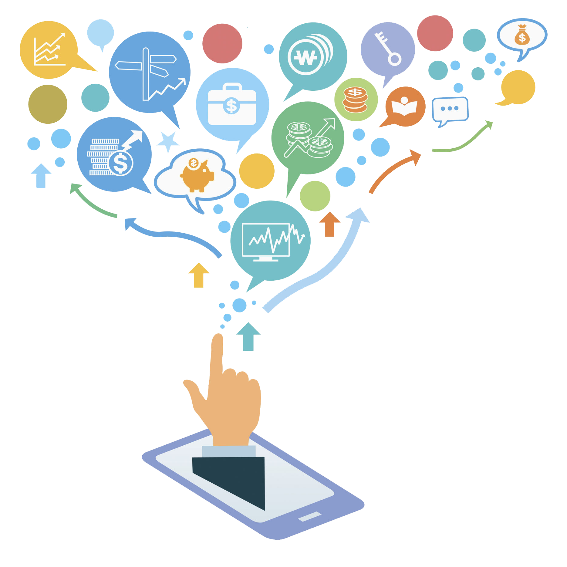 Programme Curriculum